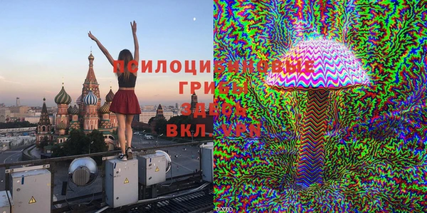 не бодяженный Ельня