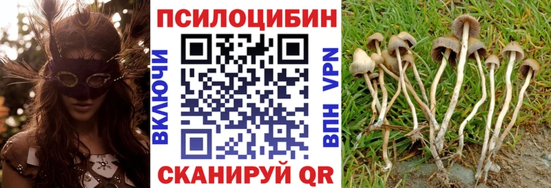 Псилоцибиновые грибы прущие грибы  Воронеж 